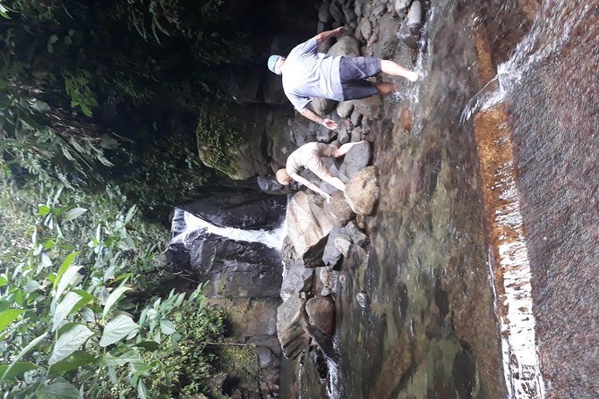 North Island Tour And Martinique Best Secret - What the $131.27 price buys you