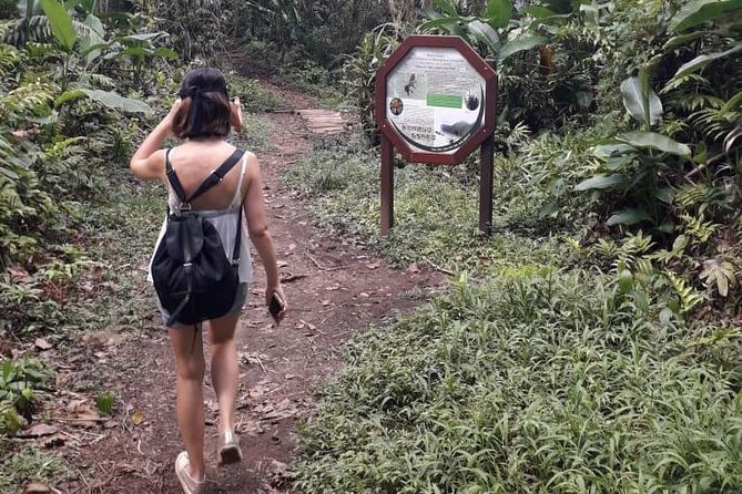North Island Tour And Martinique Best Secret - Who should book this Martinique tour