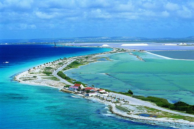 North & South Tour with Local Guide - A useful first look at Bonaire in three hours