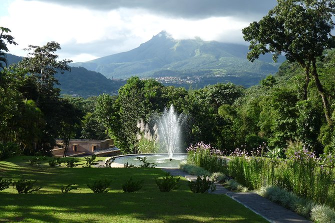 North Tour: rainforest, rum distillery, black sand beach etc - A broad look at northern Martinique in six hours