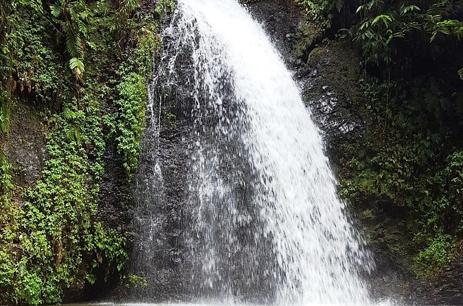 North Tour: rainforest, rum distillery, black sand beach etc - Sebastiano’s guiding style is part of the value
