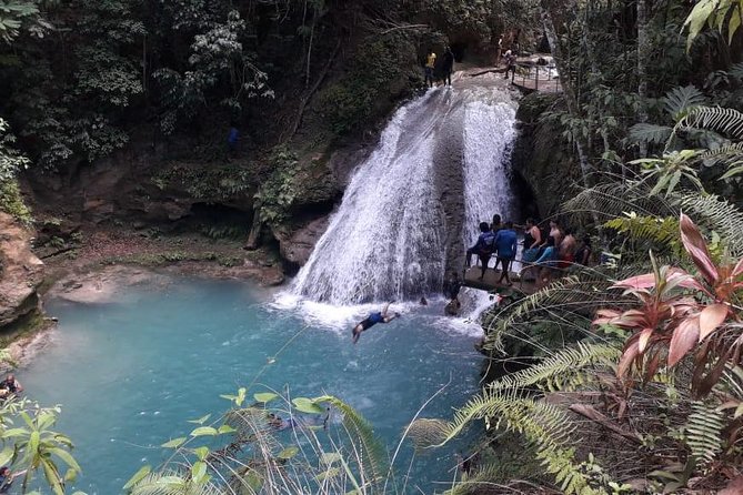 Ocho Rios Blue Hole and Dunn's River Falls Tour - Blue Hole: cool water, rope swings, and optional jumps