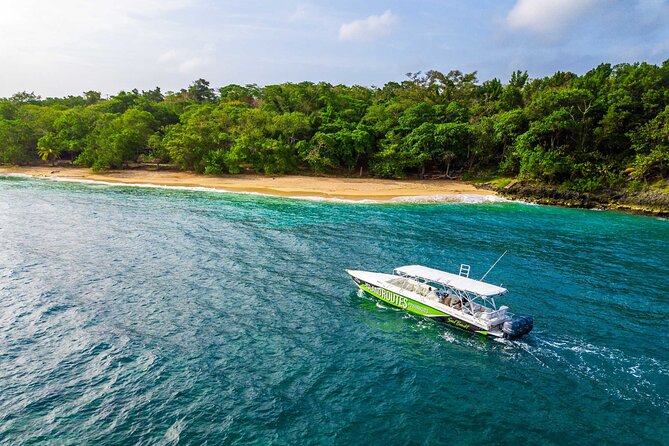 Ocho Rios Powerboat & Dunn’s River Falls Adventure - A six-hour day that mixes sea and waterfall