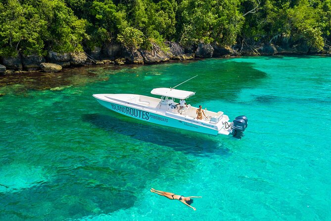 Ocho Rios Powerboat & Dunn’s River Falls Adventure - Climbing the 600-foot Dunn’s River cascade