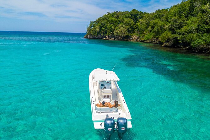Ocho Rios Powerboat & Dunn’s River Falls Adventure - The small group changes the feel of the trip