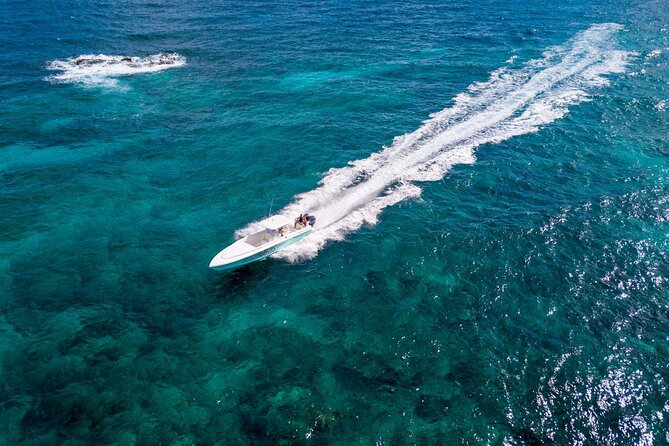 Ocho Rios Powerboat & Dunn’s River Falls Adventure - Who should book this Ocho Rios adventure?