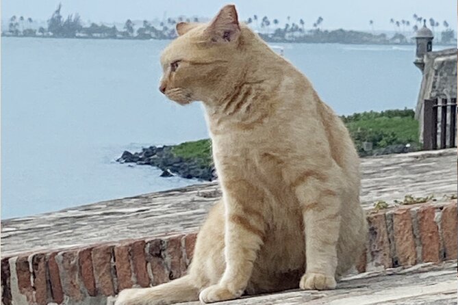 Old San Juan City Walking Tour - Why Old San Juan works so well on foot