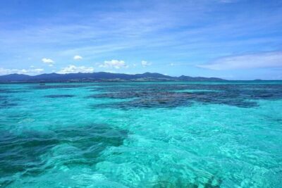 One-day boat trip to the lagoon of Guadeloupe