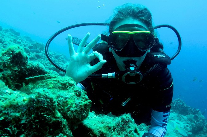 Open Water Diver Course at Blue Bay Dive in Curacao - Practical details that affect your day