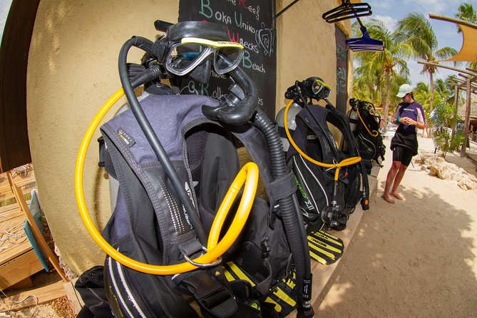 Open Water Diver Course at Blue Bay Dive in Curacao - The Garden and The Wall: what makes the house reef useful