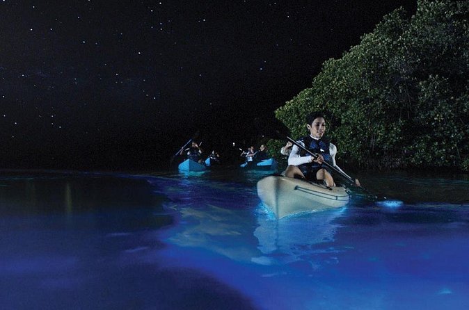 Overnight Bio Bay Kayak Tour in Vieques Island - Timing, moonlight, and weather