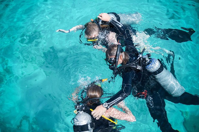 PADI Discover Scuba Dive at 5 Star Dive Center Blue Bay Dive, Curacao - Key points about the Blue Bay underwater experience