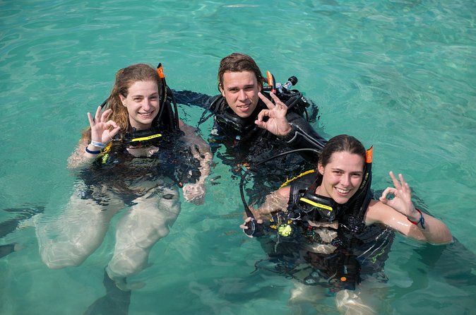 PADI Discover Scuba Dive at 5 Star Dive Center Blue Bay Dive, Curacao - What makes the instruction important