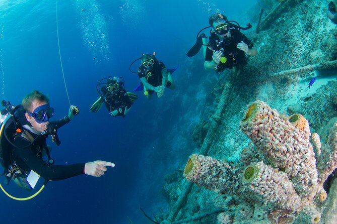 PADI Open Water Course in Curacao - Starting at Livingstone Jan Thiel Resort