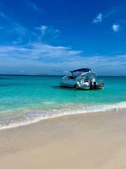 Paradise Island: Glass-Bottom Boat Tour with Live Commentary - Leaving Paradise Island on a hydrofoil