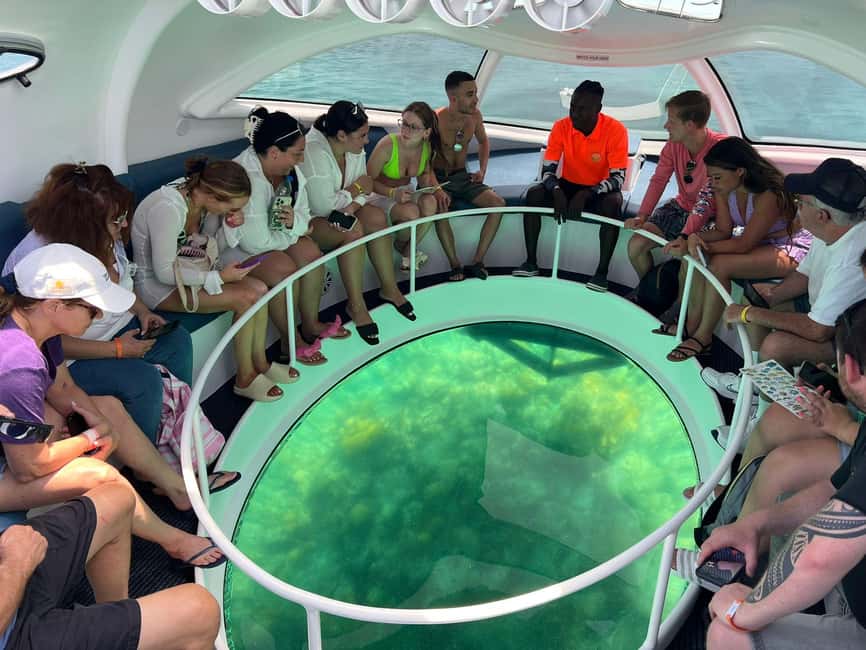 Paradise Island: Glass-Bottom Boat Tour with Live Commentary - What you see through the glass-bottom panel