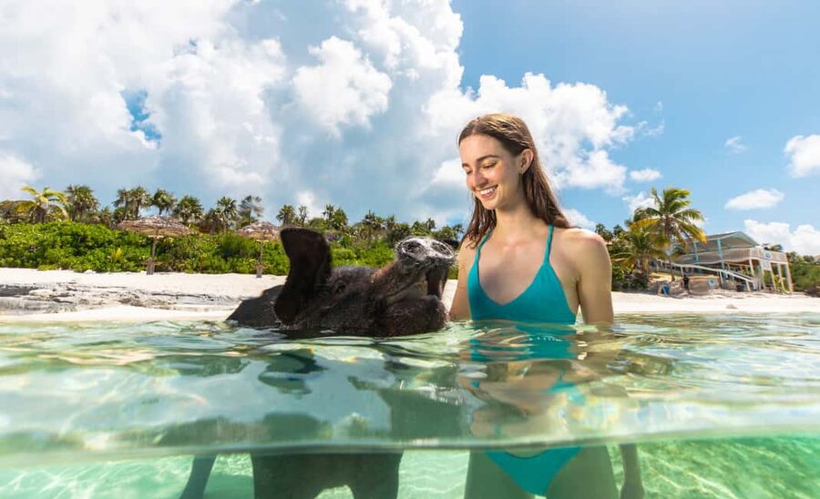Paradise Island: Rose Island Tour with Swimming Pigs & Lunch - Sandy Toes and the Rose Island setting