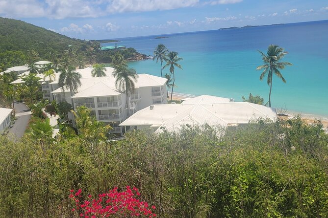 PARADISE TAXI & TOURS USVI-Transport Frenchmans Reef / Buoy Haus - How pickup works at the airport