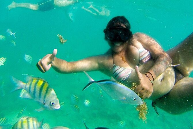 Party Boat - Private groups, snorkeling - Open Bar. - What is actually in the open bar