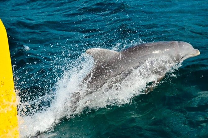 Party Catamaran: OpenBar, Music, Negril Beach, Caves, Snorkeling - Onboard energy, open bar, and snorkeling
