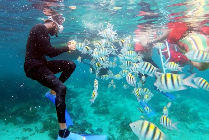 Party Catamaran: OpenBar, Music, Negril Beach, Caves, Snorkeling - Rick’s Cafe and the cliff-jumping stop