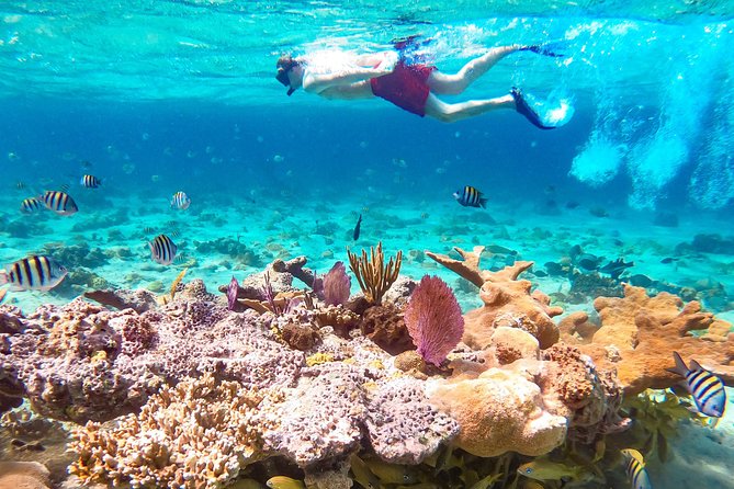 Pearl Island Bahamas Snorkeling Experience and Lunch - Pearl Island beaches and the first hour