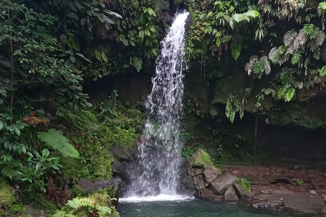 Pepper's Choice : Waterfalls, Sulphur Spa & Black Sand Beach - Emerald Pool starts the day in the rainforest