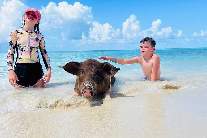 Perfect Day Swimming Pigs, Turtles, Reef Snorkel & Lunch - Key points to know before you book