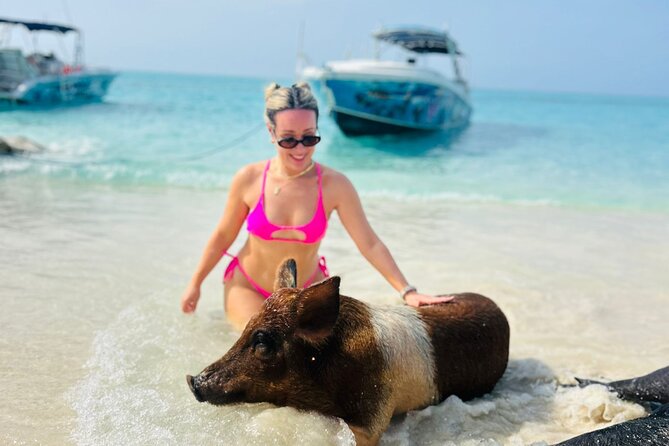 Perfect Day Swimming Pigs, Turtles, Reef Snorkel & Lunch - Why the pigs are only part of the appeal