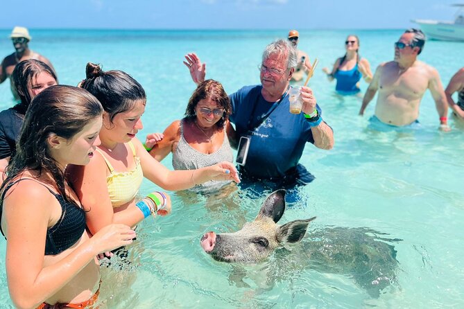 Perfect Day Swimming Pigs, Turtles, Reef Snorkel & Lunch - The crew, group size, and pace