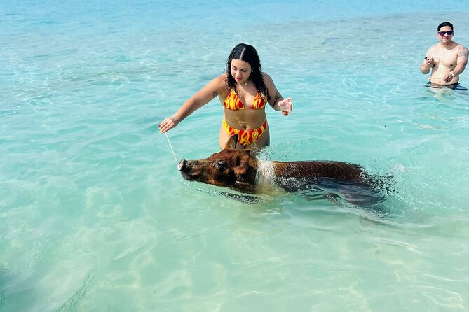 Perfect Day Swimming Pigs, Turtles, Reef Snorkel & Lunch - Leaving Montagu Beach for Atholl Island