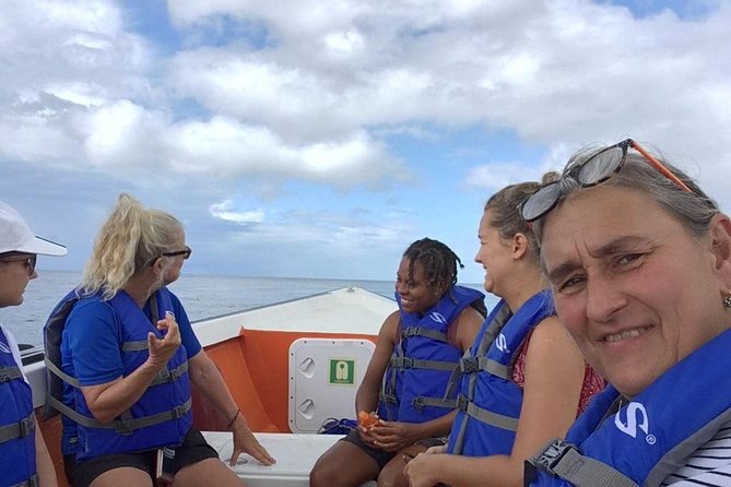 PH Whale Watch & Dolphin Cruise in Dominica - A small boat with room for a real sighting