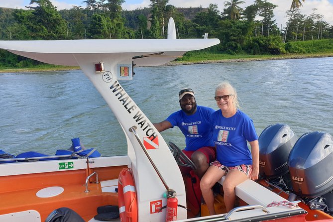 PH Whale Watch & Dolphin Cruise in Dominica - Dolphins and other sea life fill the gaps