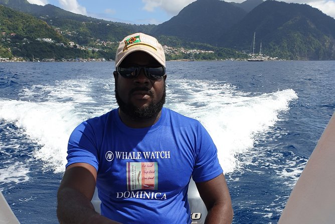 PH Whale Watch & Dolphin Cruise in Dominica - Guides who make the difference