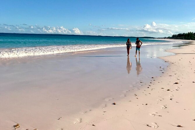 Pink Sand Beach and Swimming Pigs Adventure from Nassau - A full day across the Bahamas from Nassau