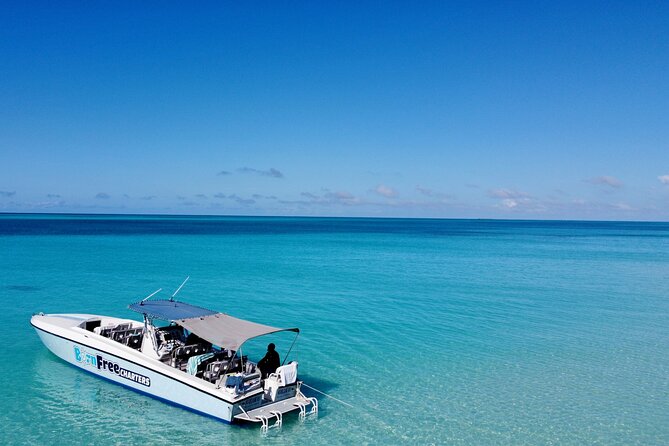 Pink Sand Beach and Swimming Pigs Adventure from Nassau - What the boat rides are really like