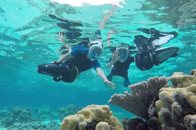 Premium Catamaran Afternoon Sail: Snorkeling and Lunch - Two Aruba snorkel sites, two different moods
