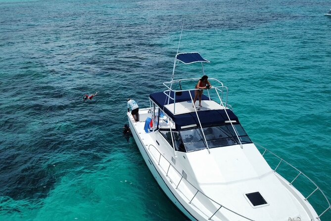 Private 38' Defender Sportfishing/Swim with Pigs in Nassau - The second reef, beach, or a slower pace