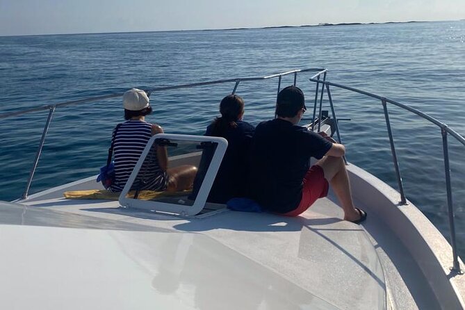 Private 38' Defender Sportfishing/Swim with Pigs in Nassau - Meeting at Margaritaville on Paradise Island