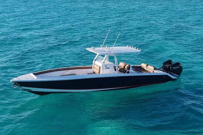 Private 4-Hour Rose Island charter Snorkeling Turtles & Beaching - The harbor cruise and Nassau landmarks