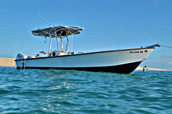 Private All-Inclusive 22ft Boat Guided Snorkeling Icacos Palomino - Snorkeling help that works for beginners