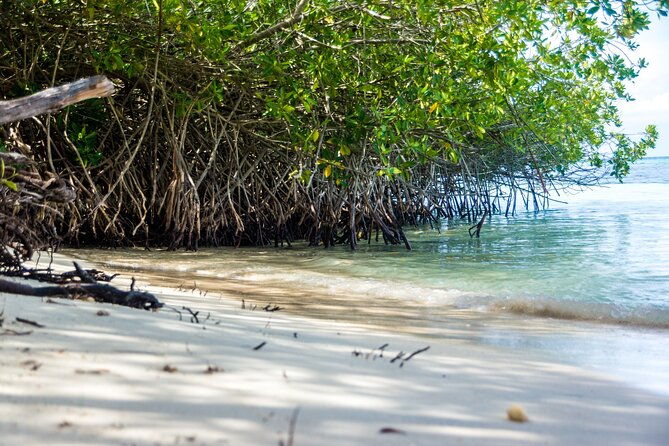 Private Aruba Beach Hop and Snorkel Experience - Baby Beach: the easiest place to relax