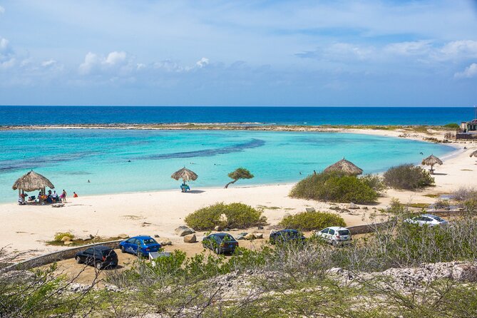 Private Aruba Beach Hop and Snorkel Experience - Mangel Halto: the strongest snorkeling stop