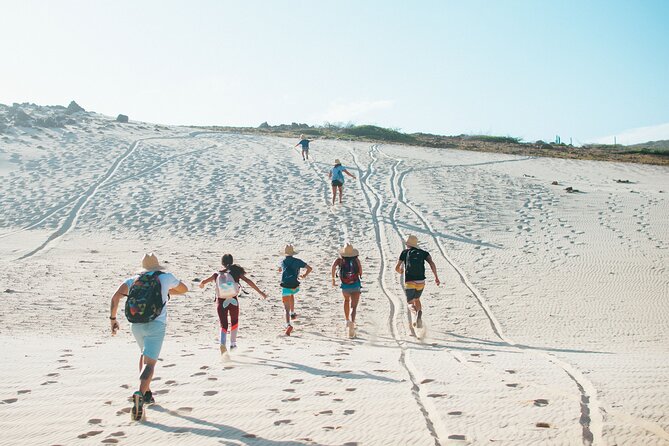 Private Aruba National Park Hiking & Natural Pool Swimming - Key points to know before booking