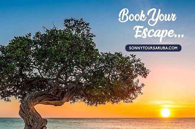 Private Aruba roundtrip airport transfer - Who will get the most from this transfer