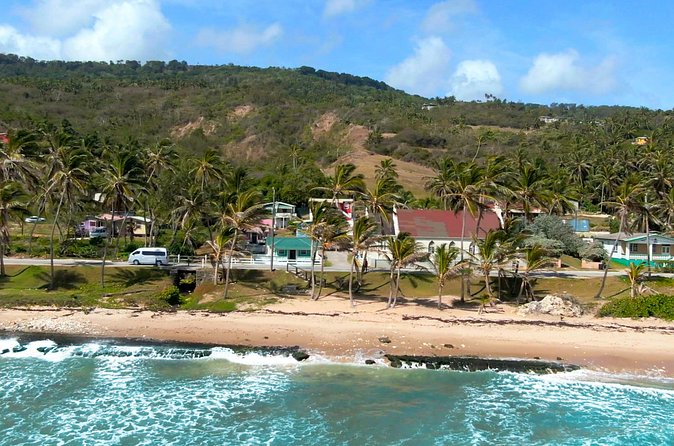 Private Barbados Island Tour - What the guides add to the day