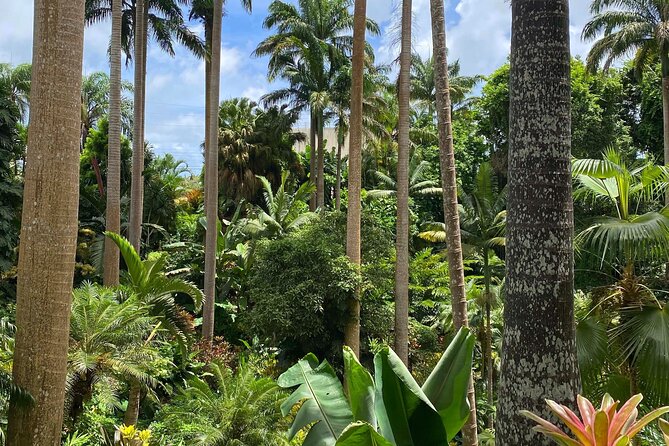 Private Barbados Island Tour - How to plan your four hours well