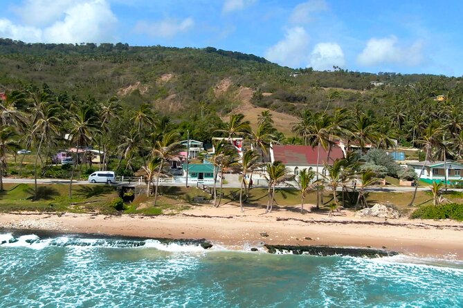 Private Barbados Island Tour - Who should book this private Barbados tour?