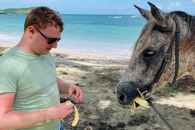 Private Beach Horseback Ride with Sandy Hoofs St. Lucia - What the private format really adds