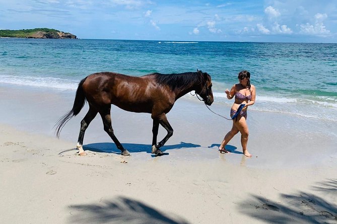 Private Beach Horseback Ride with Sandy Hoofs St. Lucia - Weather, seasons, and seaweed
